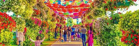 zeyynpglcan's profile banner image