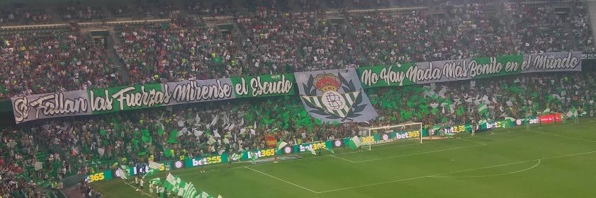 LopezRoelas's profile banner image