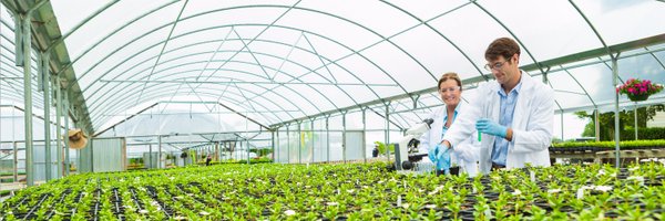 CIHort Profile Banner