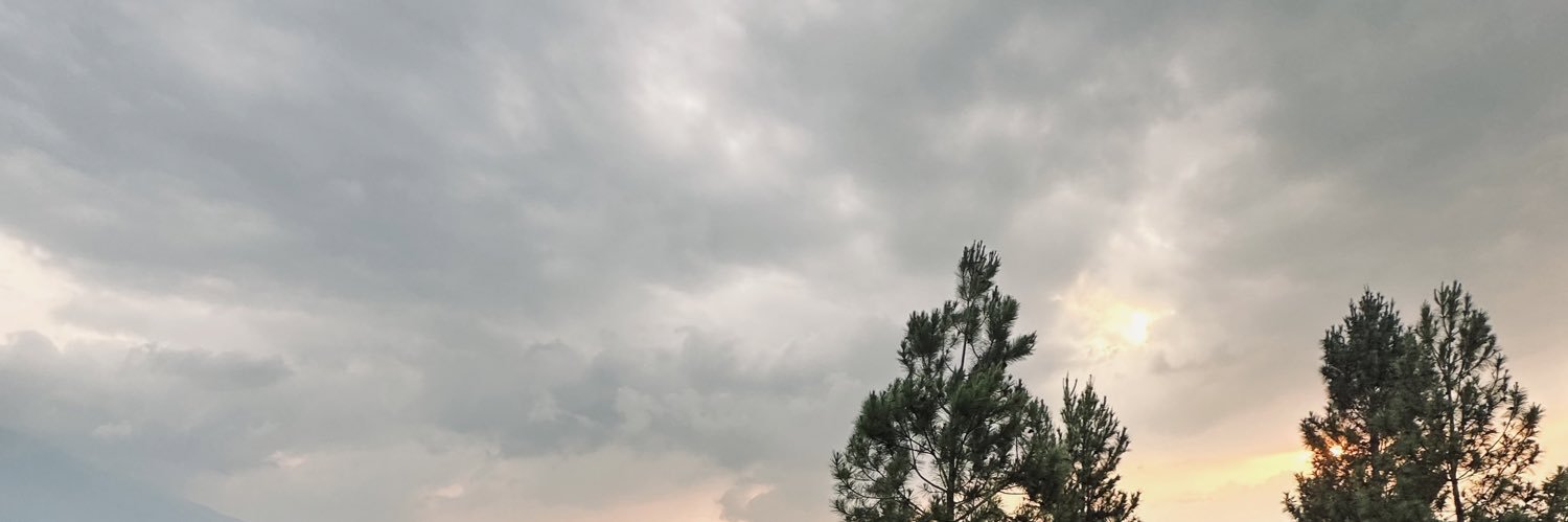 inezmonica's profile banner image