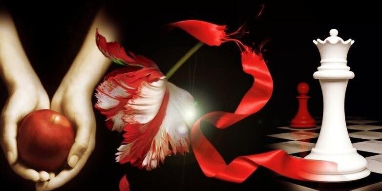 Twifevers's profile banner image