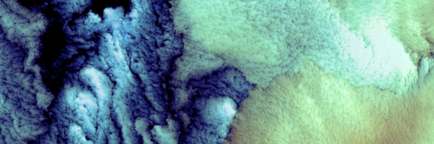 Alissa Bellotti banner