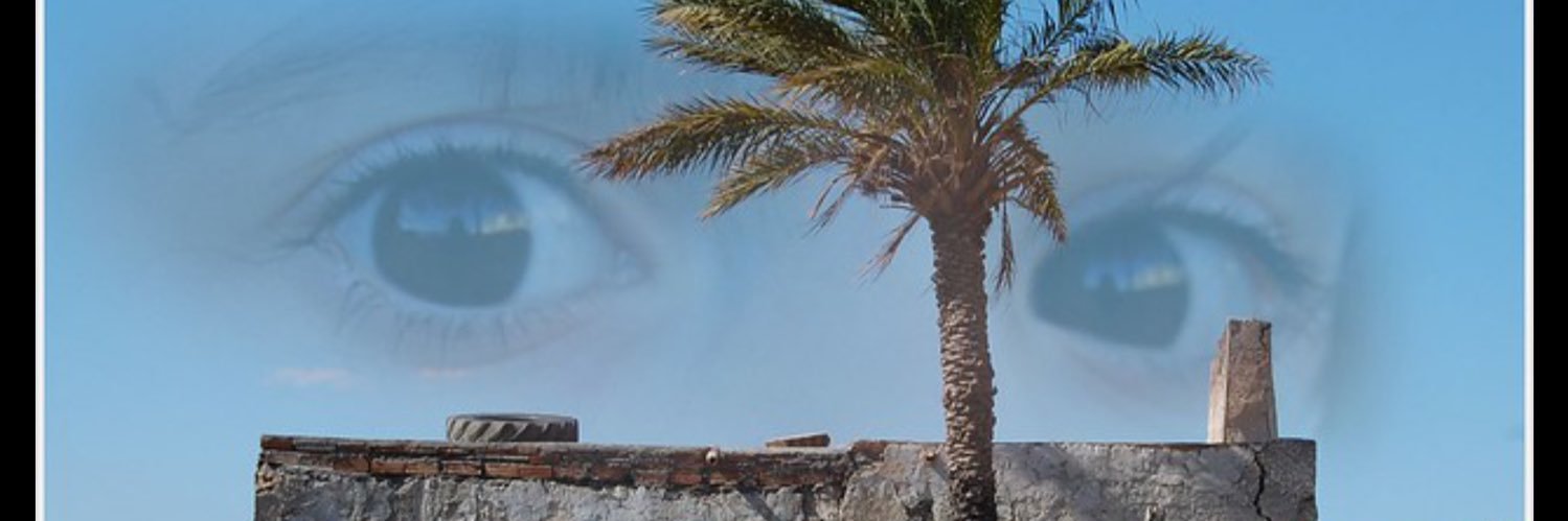 vicdnavarro's profile banner image
