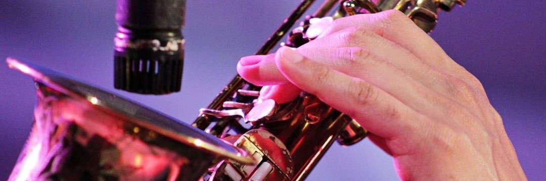 Louis Fouché banner