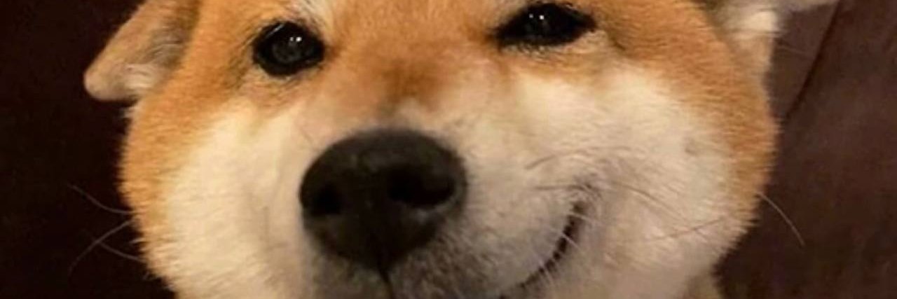 RachealLedec765's profile banner image