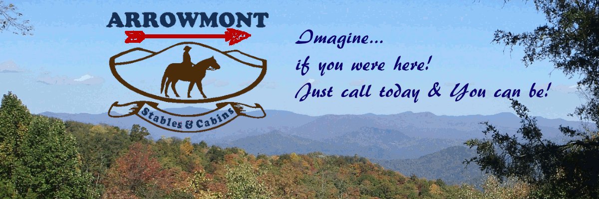 arrowmontstable's profile banner image