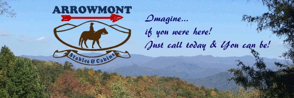 arrowmontstable Profile Banner