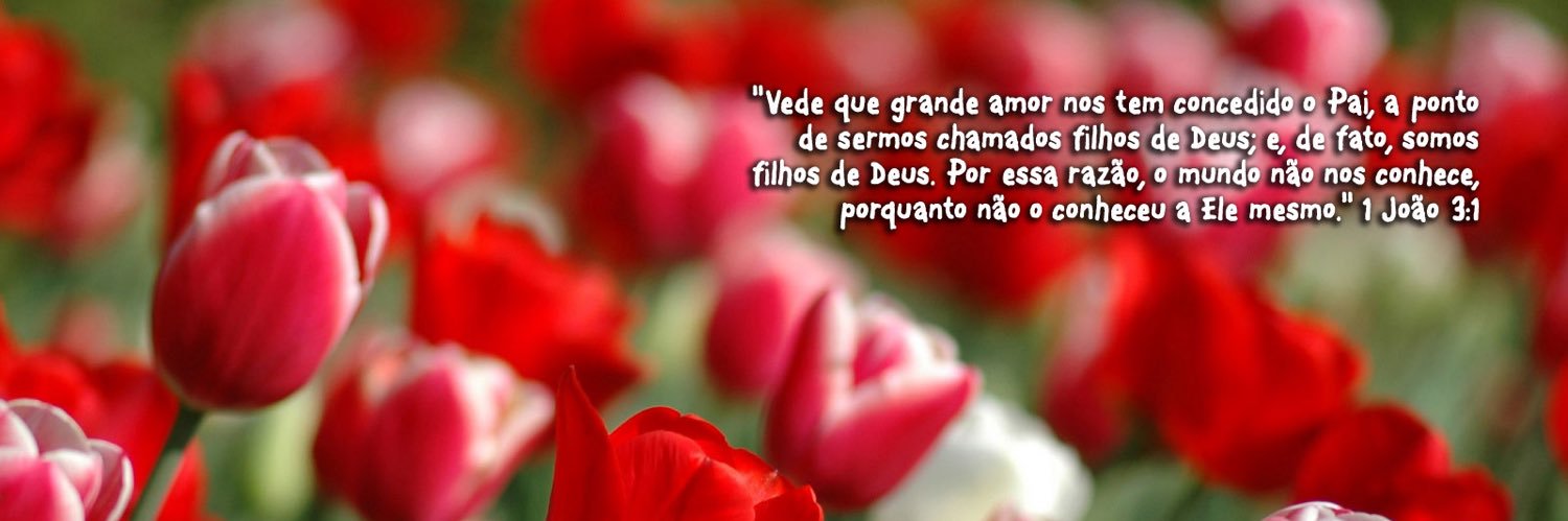 Devocional Diário banner