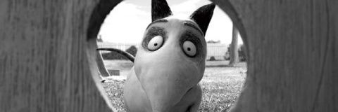 pipomp5's profile banner image