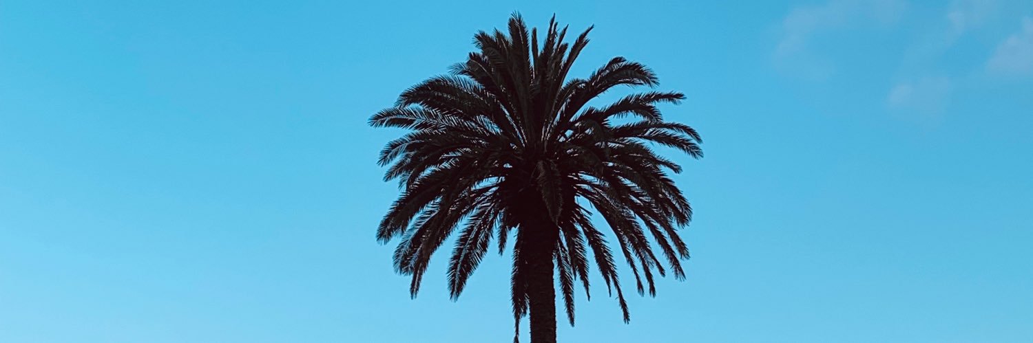 supacrypt's profile banner image