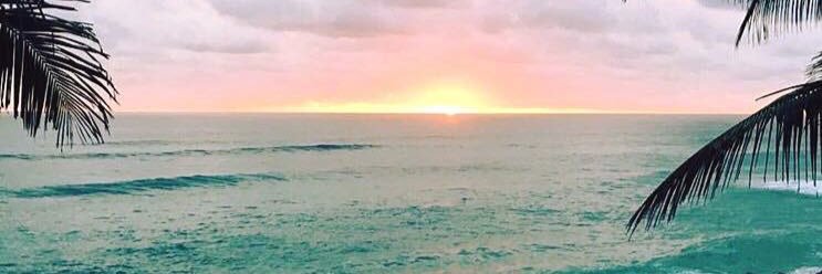 MaggieBanda's profile banner image
