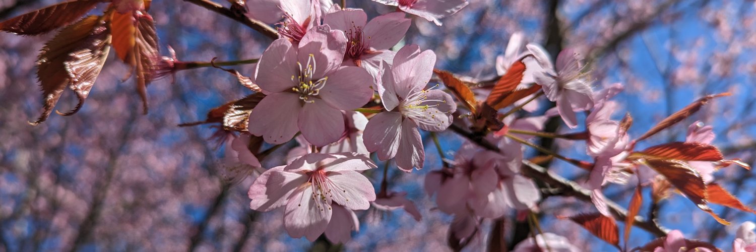 _EmilyBennett_'s profile banner image