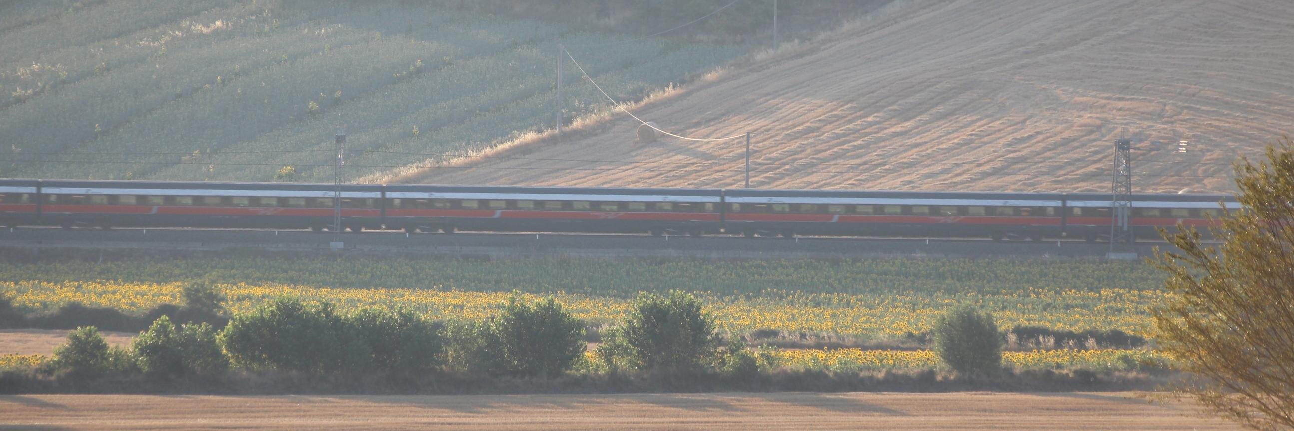 LindhHok's profile banner image