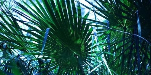 _kusjulia's profile banner image