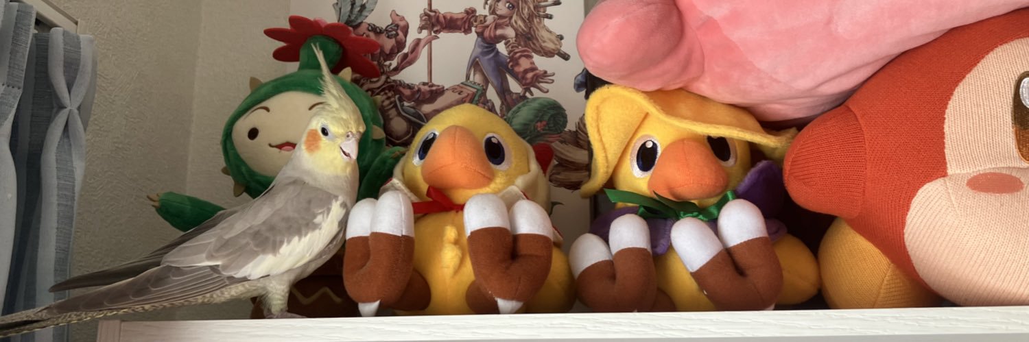 arupoco's profile banner image