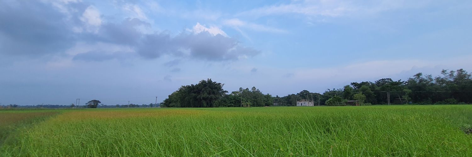 kkroy's profile banner image