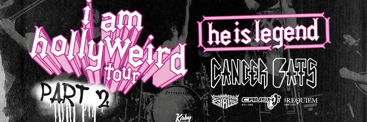 Matty Williams banner