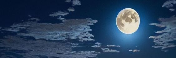 Dan Robison banner