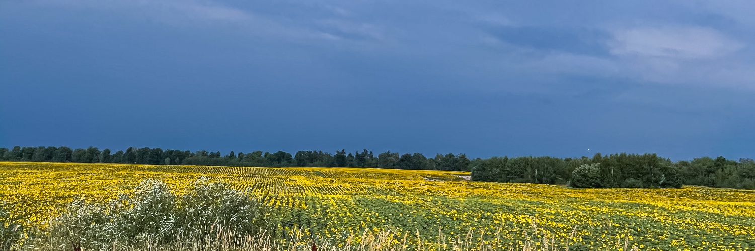 VladaFromNarod's profile banner image