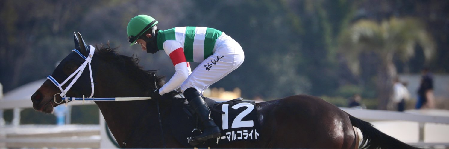 あんちーちゃん( 悲しき一口Cat ) banner