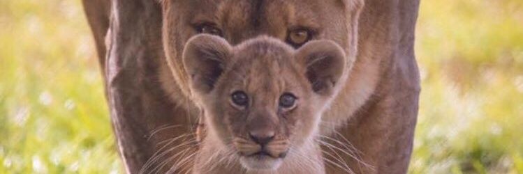 GadeaH8's profile banner image