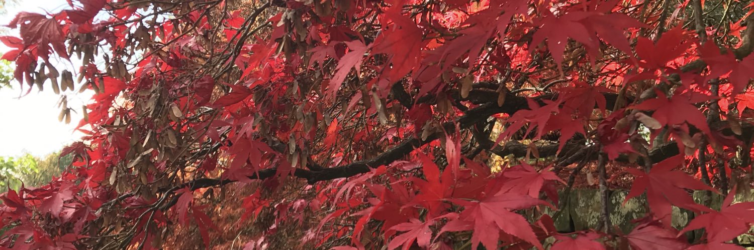 KIFletch's profile banner image