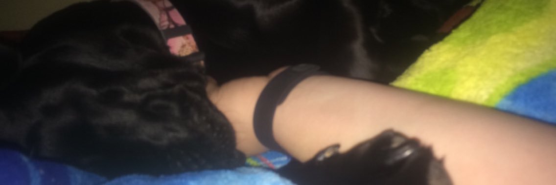 nikki_ford5's profile banner image