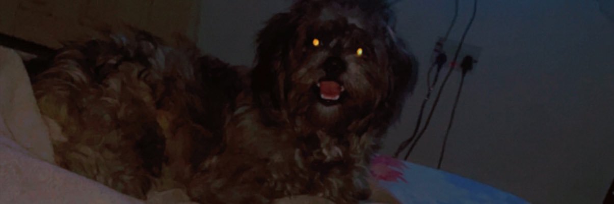 slaymama_69's profile banner image