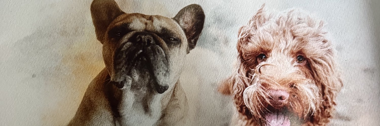 JayRobzzz's profile banner image