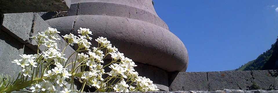 aspetourisme's profile banner image