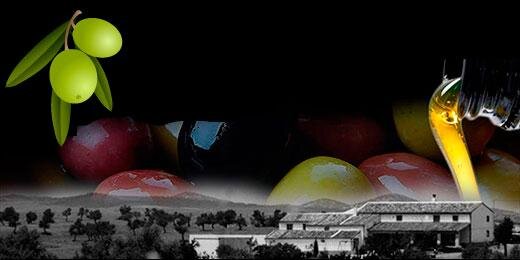 lasolana2's profile banner image