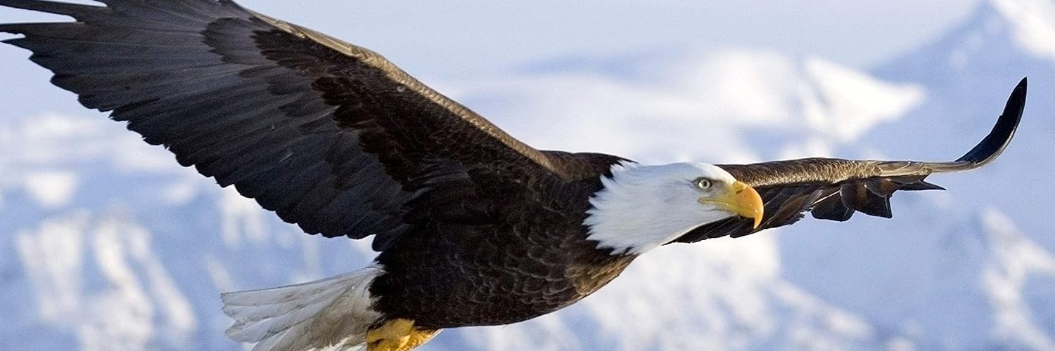 The Sean Mitchell banner