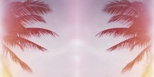 donnaschoorel's profile banner image