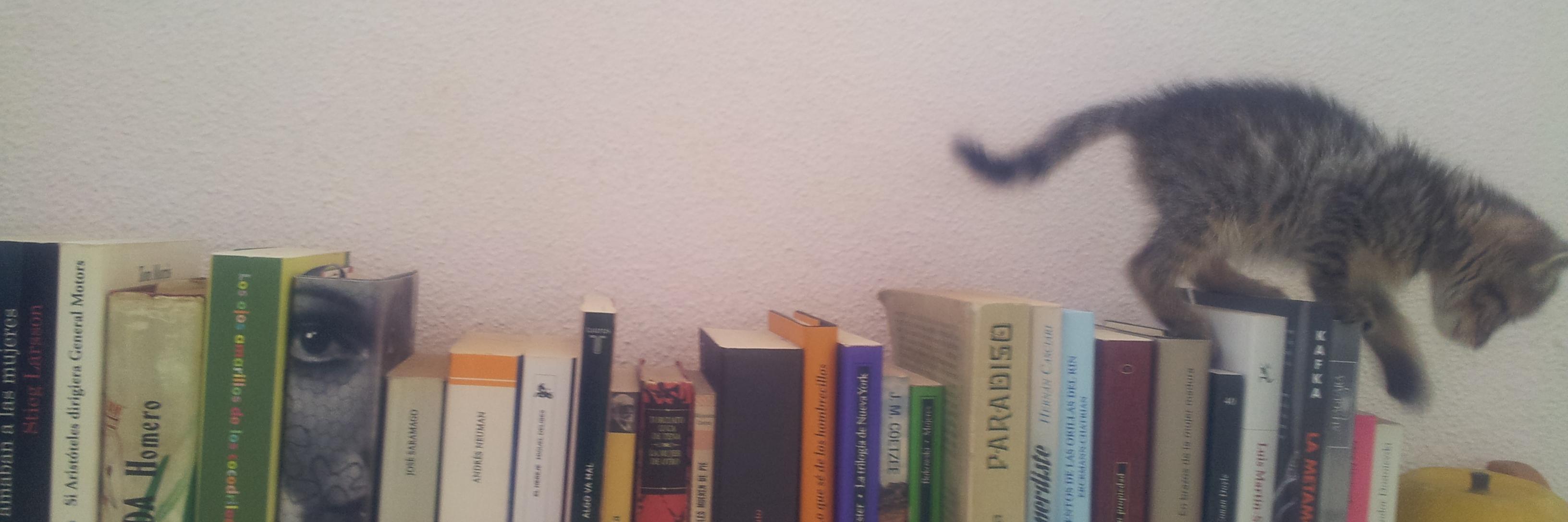 rosanablachrive's profile banner image