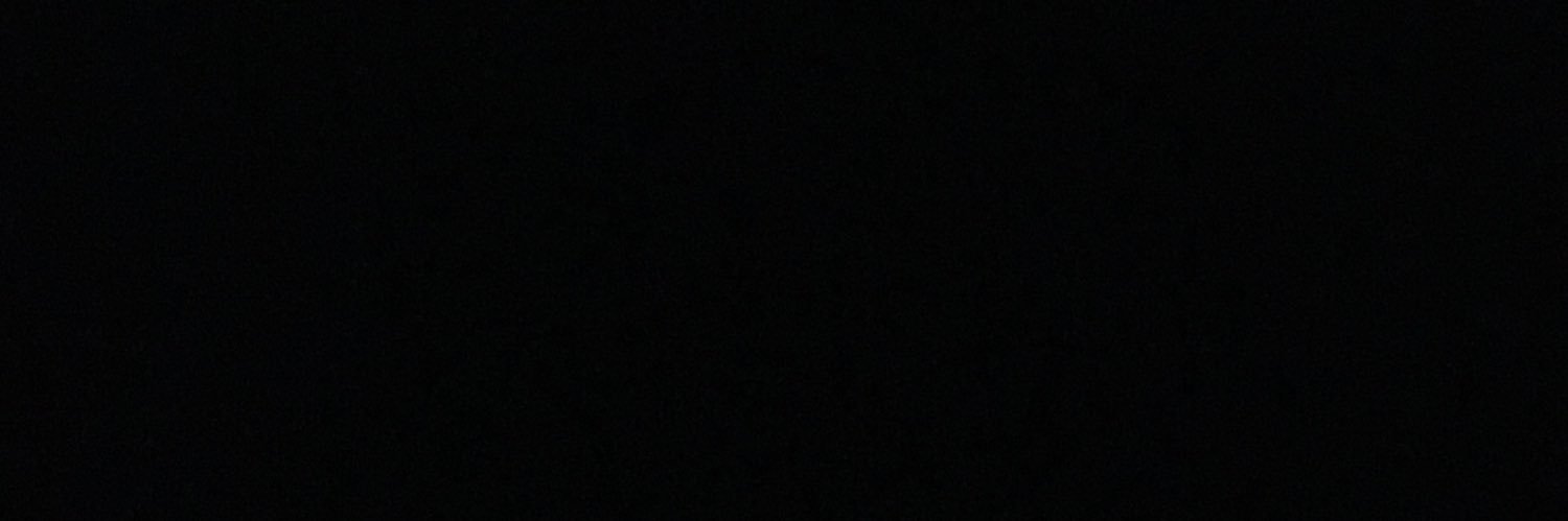 NeslisahVural's profile banner image
