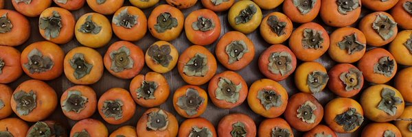 _thiagoreis Profile Banner