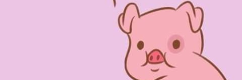 lupe_e95's profile banner image