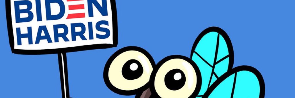 shellbatts's profile banner image