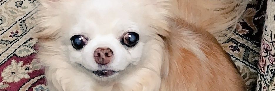 lov_c7's profile banner image