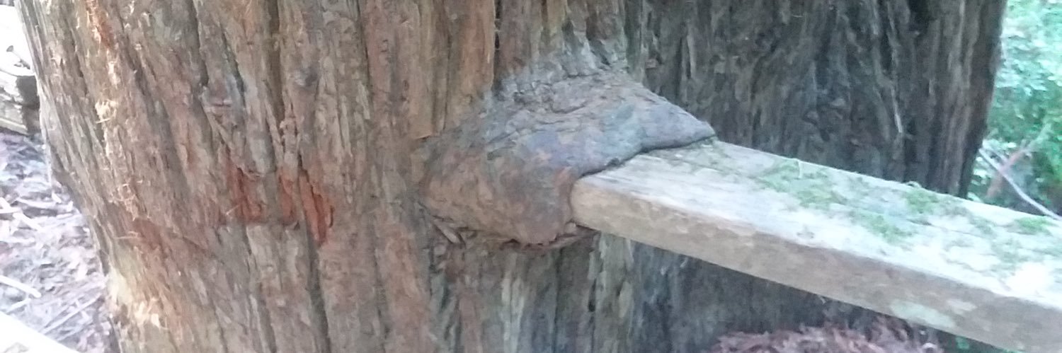 Scientiffst's profile banner image