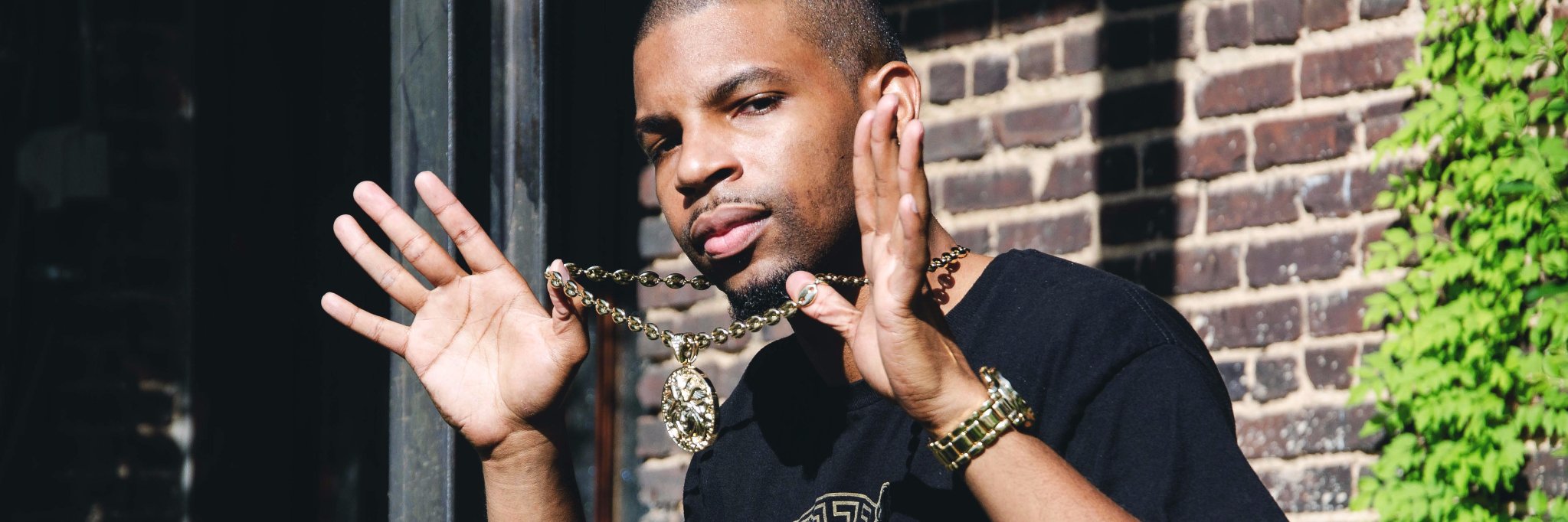 cottonstateking's profile banner image