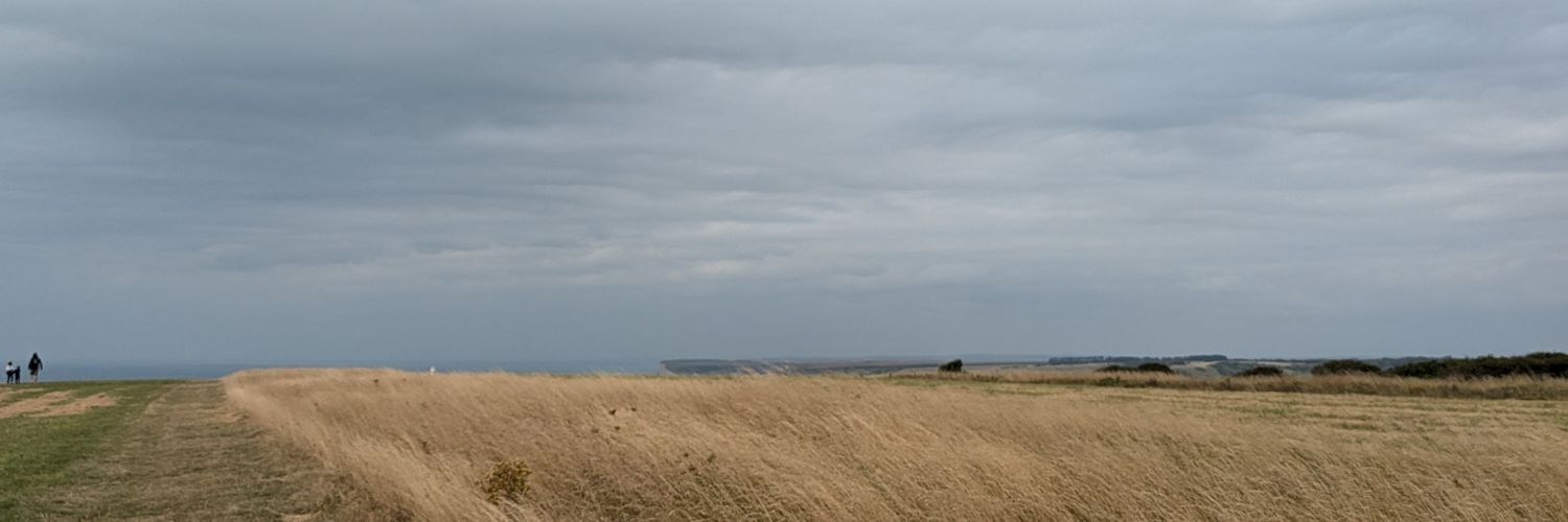 Miia Chambers banner