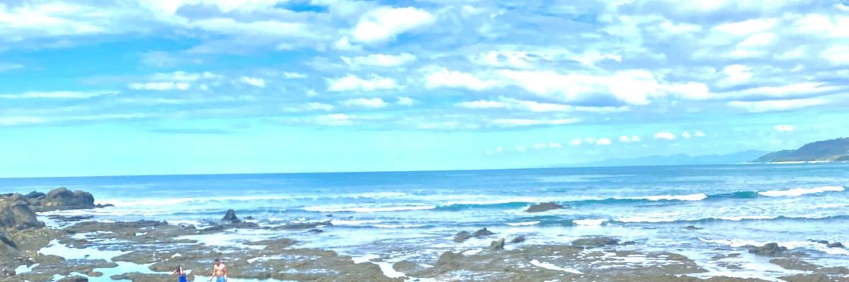 IsabelleSeguier's profile banner image