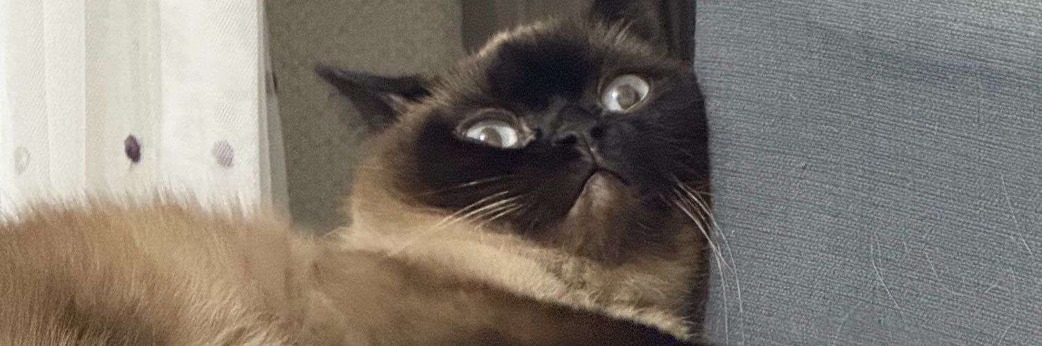 iclalsharp's profile banner image