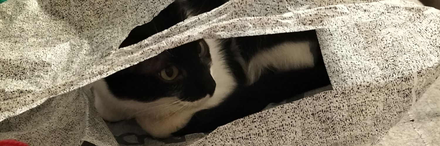 Maite Vilamajó banner