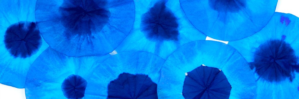 Craftwhack's profile banner image