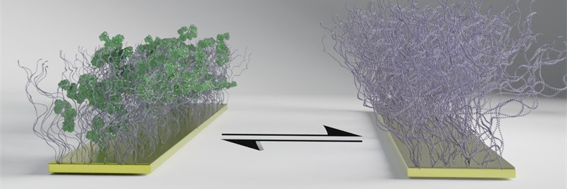 Andreas Dahlin banner