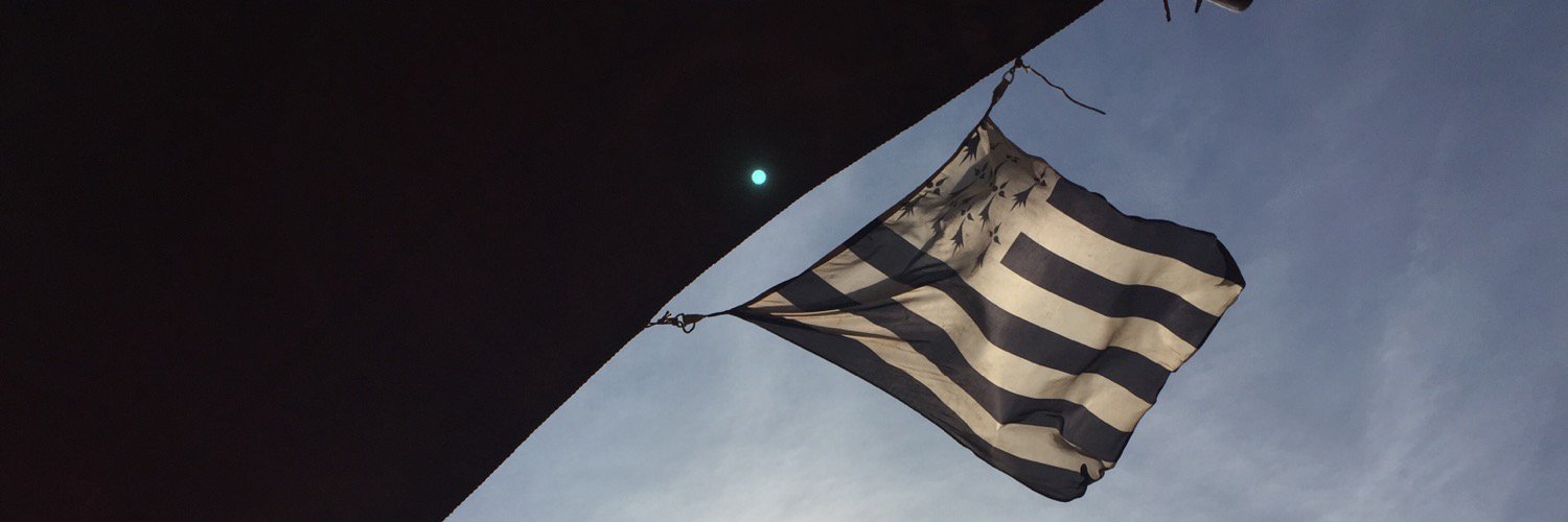 lepelletic's profile banner image
