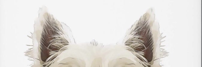 chicaneee's profile banner image