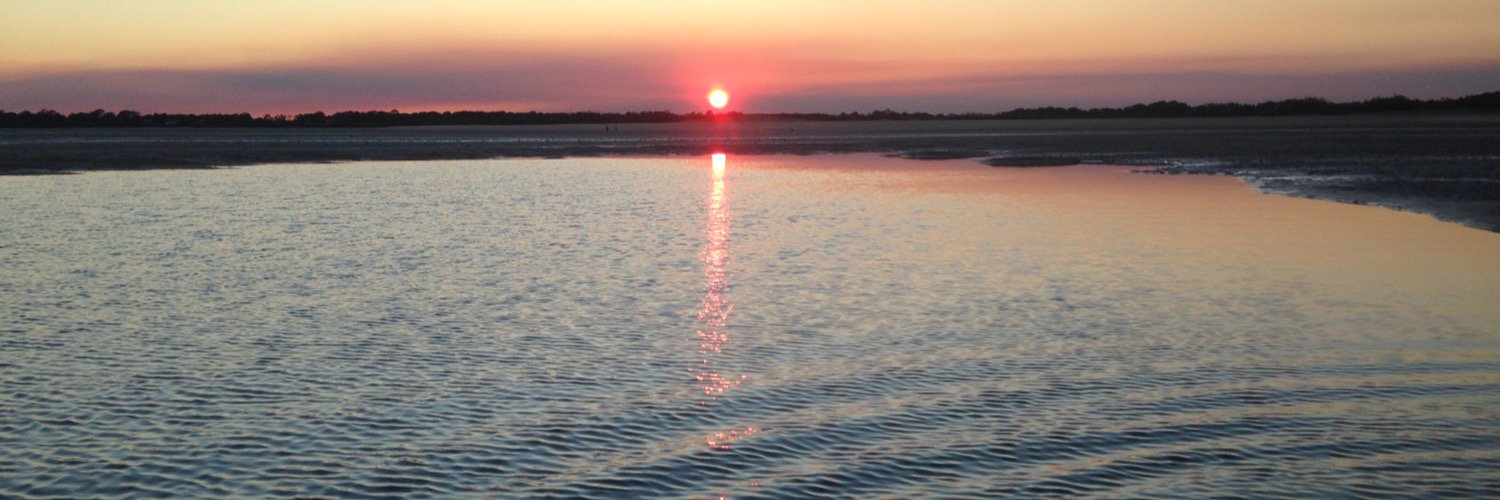 Michael Westwood banner